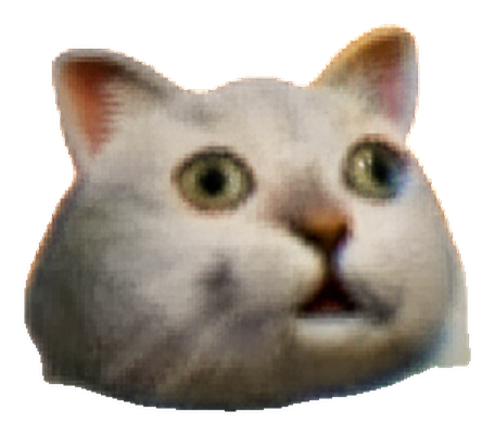 No Idea Cat with both paws raised